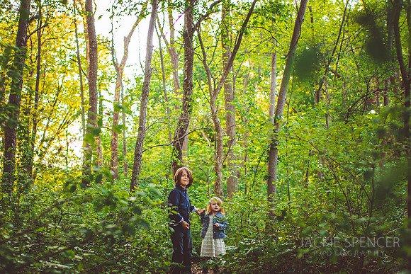 chicago family photographer sunset 8