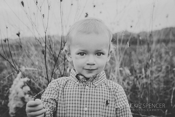 highland park family photographer sunset 5