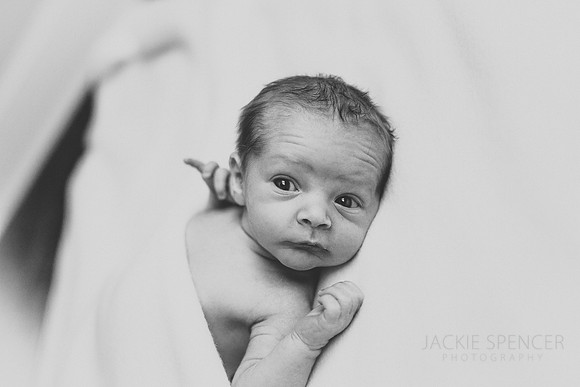 Chicago family and lifestyle photographer berman family -11