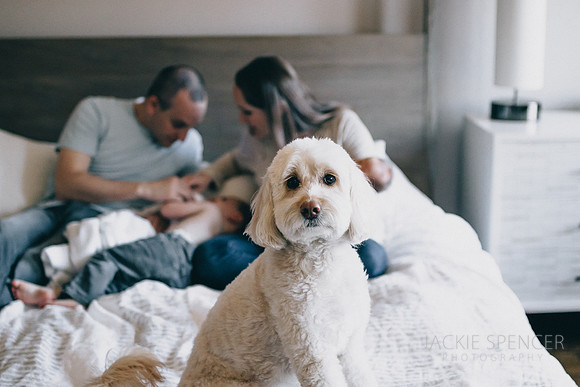 Chicago family and lifestyle photographer berman family -16