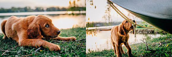 grayslake family photographer -6
