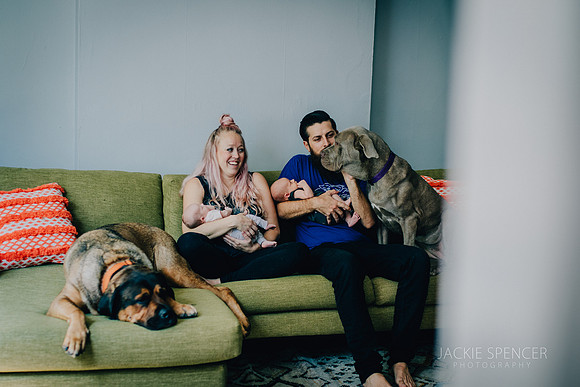 chicago newborn lifestyle photographer - hahn family - 2017-2